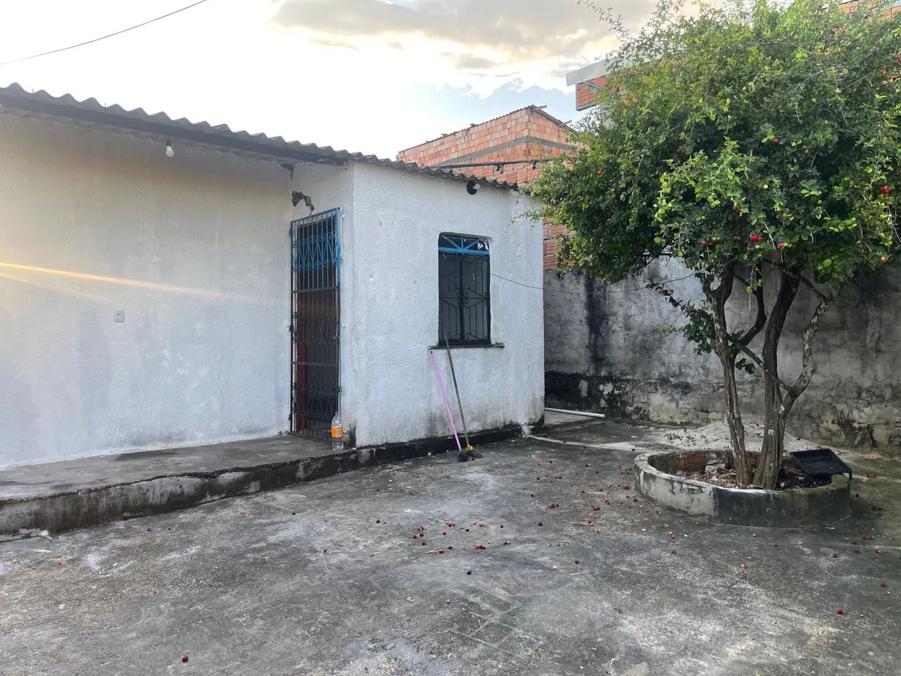 Foto - Manaus - Nova Cidade