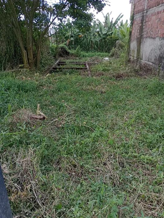Terreno 