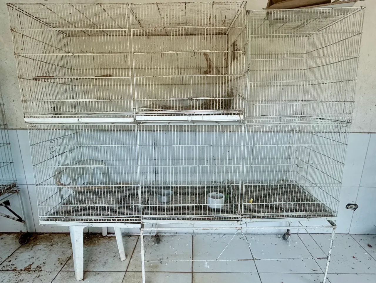 gaiola voadeira viveiro - Foto 2