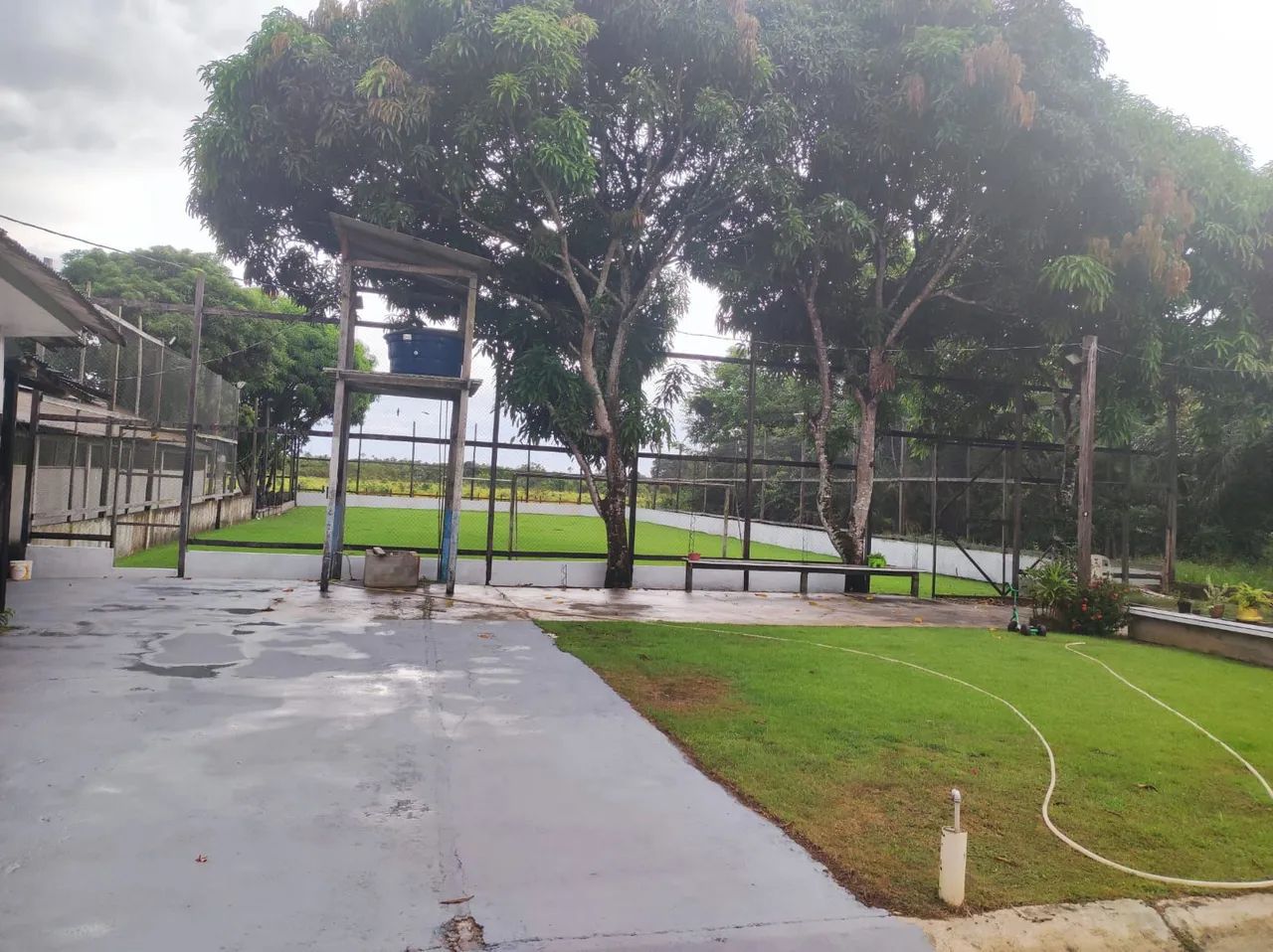 Chácara Ramal da Mururema Fazendinha  - Foto 2