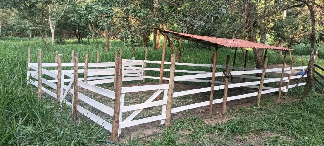 Sítio Maricá com 244mil m², córrego e nascentes - Foto 4