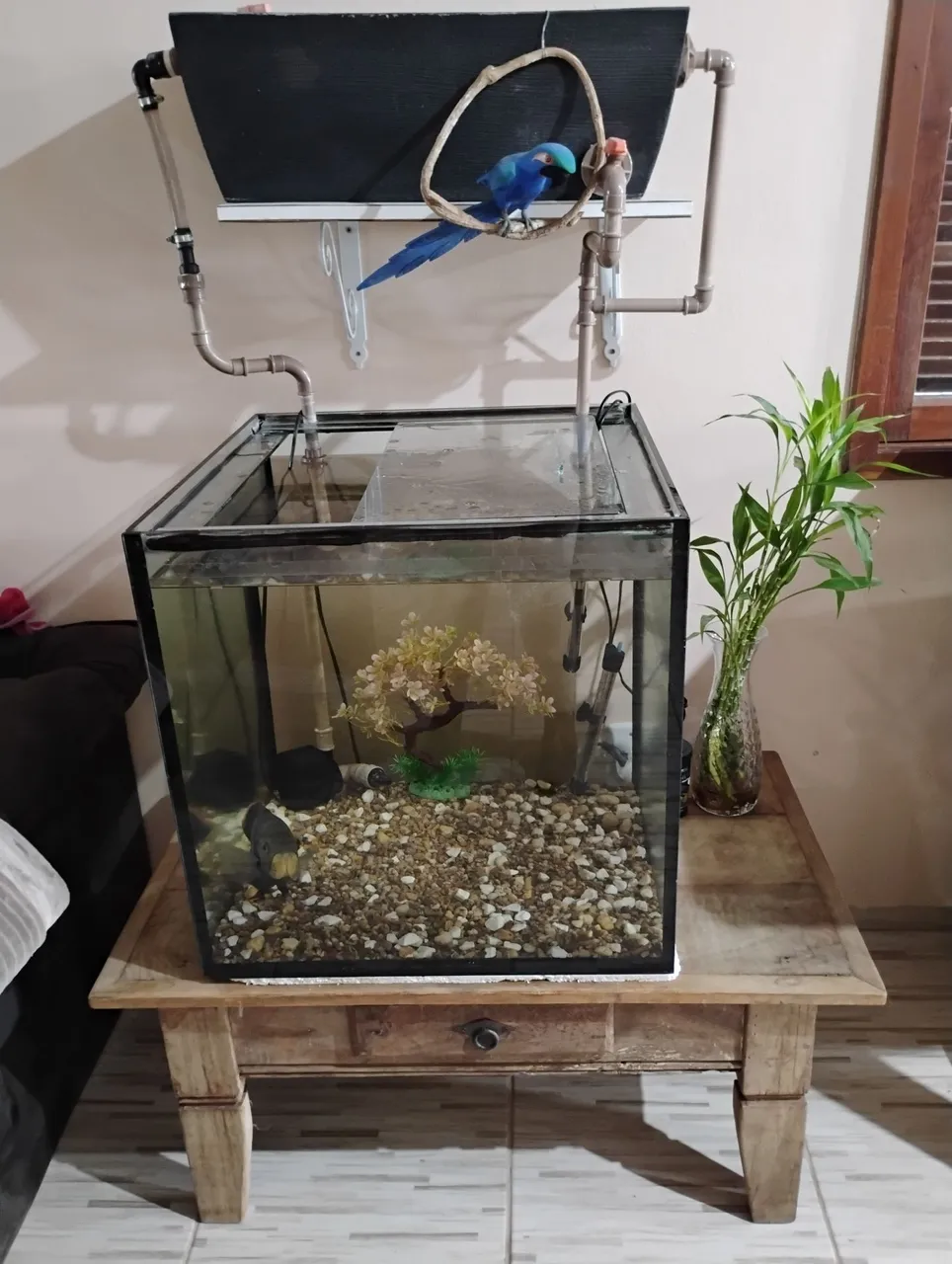 Aquário completo!!! Sem peixe !!!