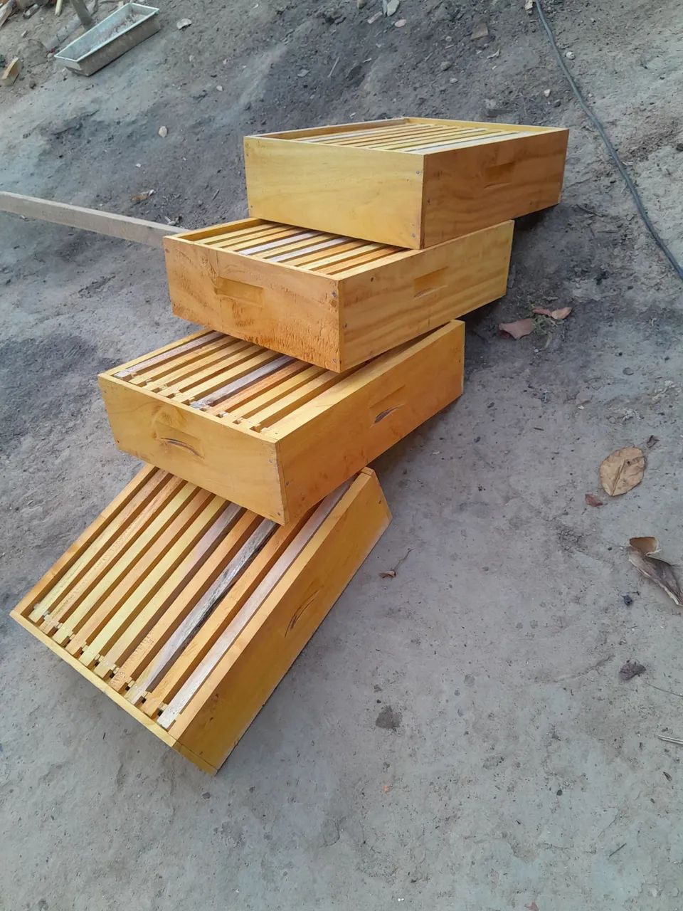 Apicultura  - Foto 2