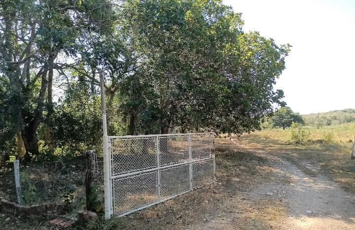 Vendo Chácara Nossa Senhora da Guia