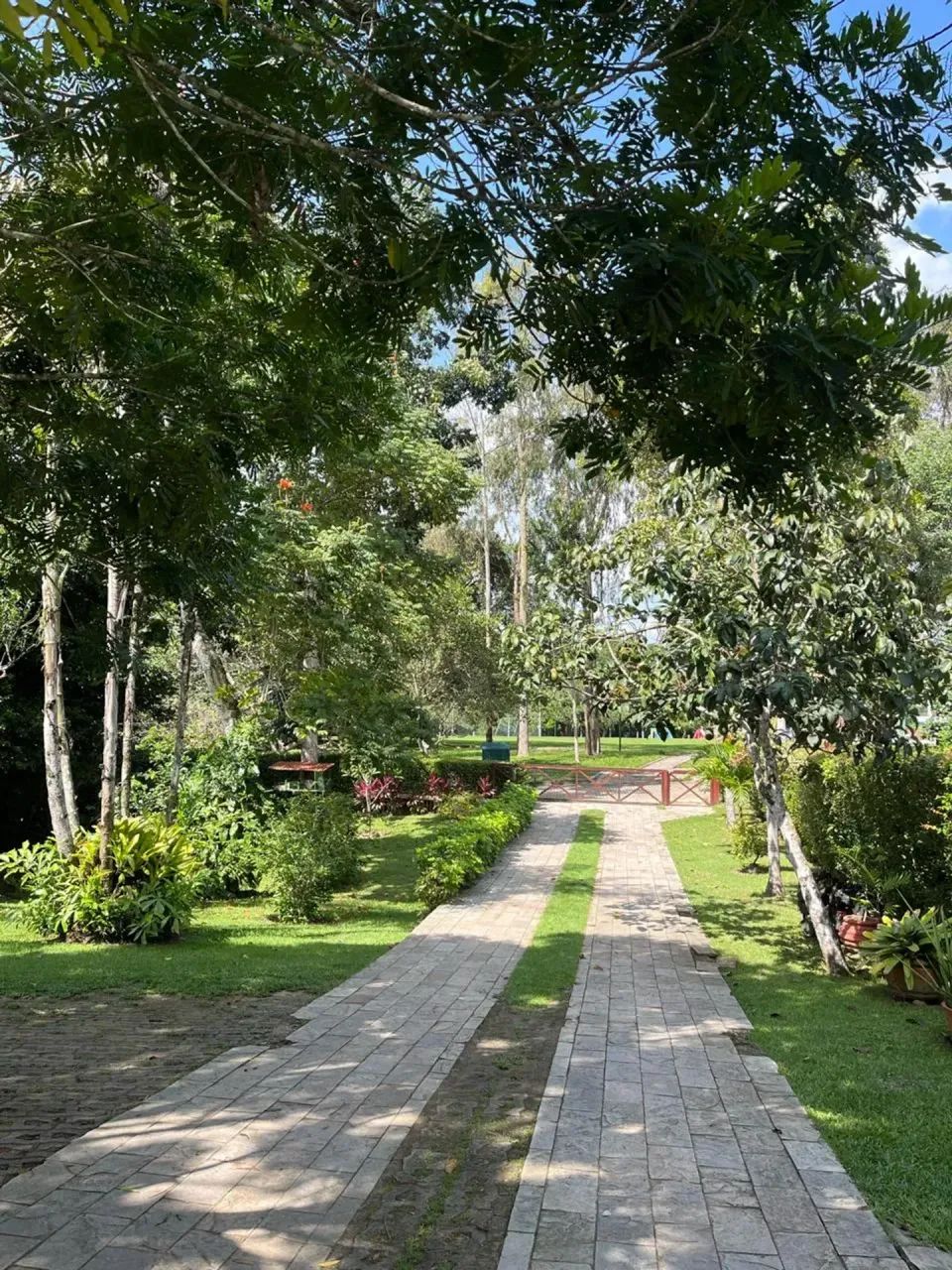 casa nascente em condomínio com super lote de 1640m2, área de lazer! - Foto 4