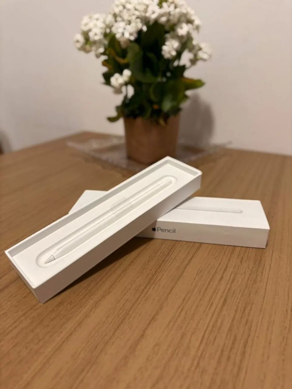 Ipad mini 6 - 64gb (rose)<br>Apple Pencil geração 2<br>R$3.000,00