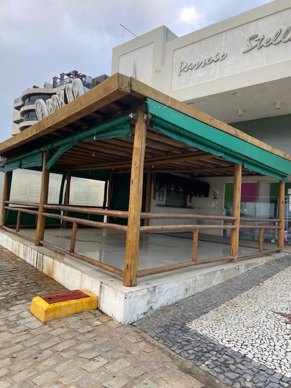 Eucalipto tratado - Foto 4