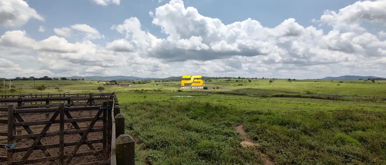 Fazenda à Venda  Porteira Fechada | Araçagi  PB REF: FA0001 - Foto 5