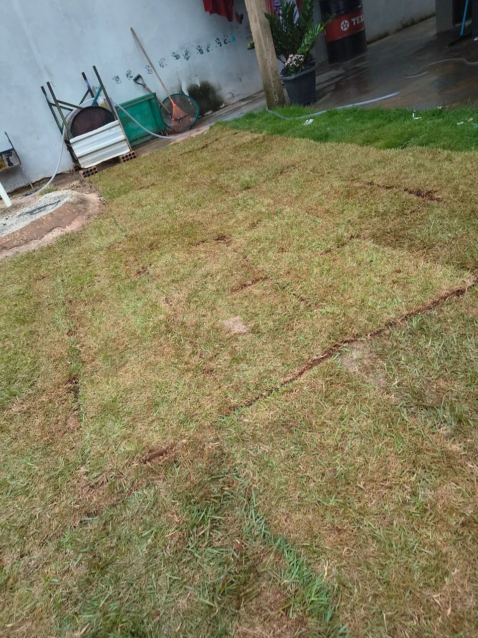 Manutenção de jardins e áreas externas  - Foto 4