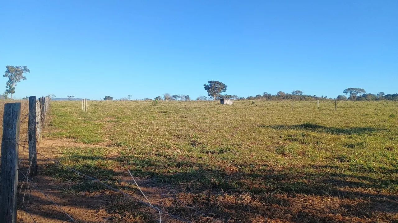 Chácara - 5 Hectares - Foto 4