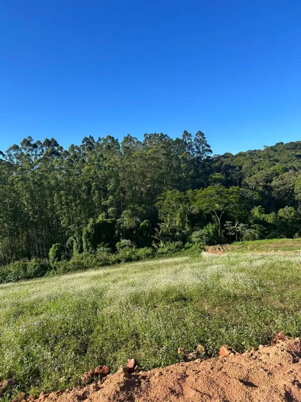 ESSA OFERTA DE 500m² EM COTIA MERECE SUA ATENÇÃO! - Foto 3