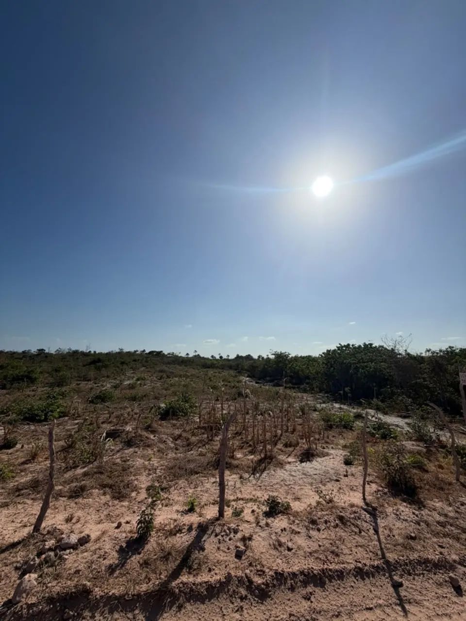 Oportunidade em Barreirinhas  -  MA  - Foto 3