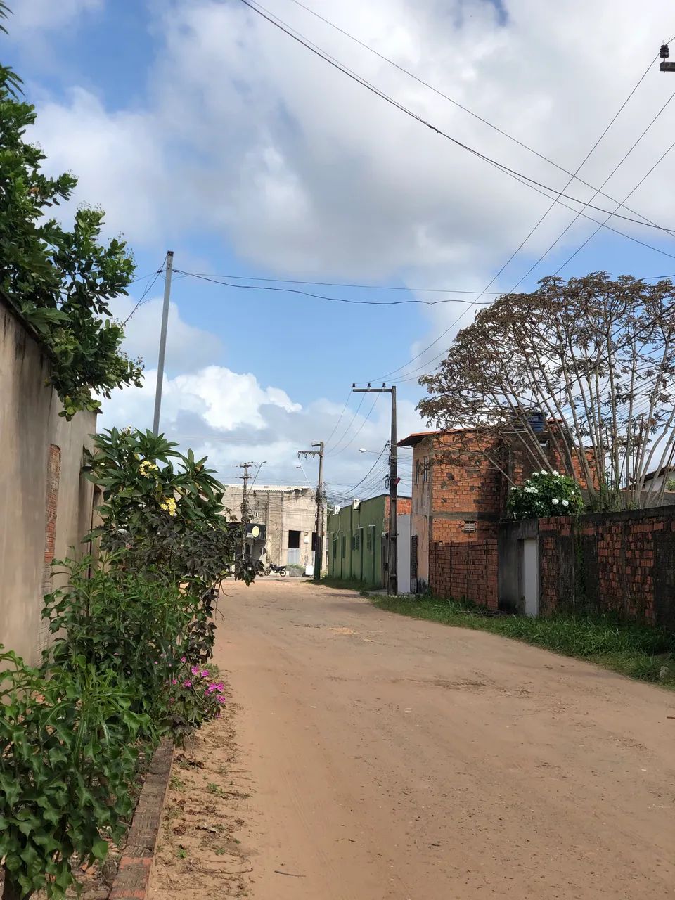 Vendo sítio com casa - Estrada da Raposa - Foto 5
