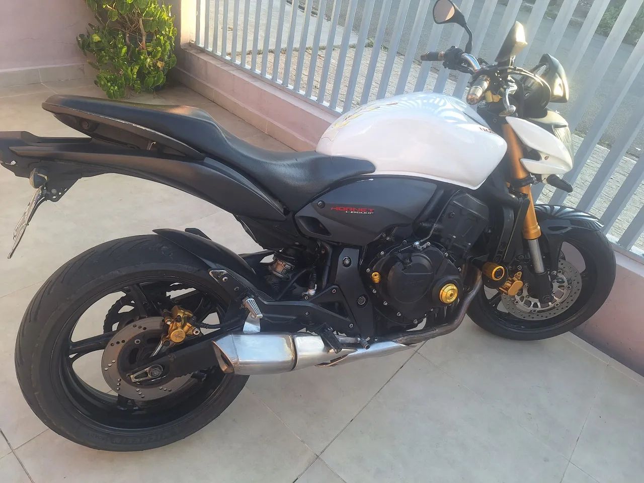 Hornet600f