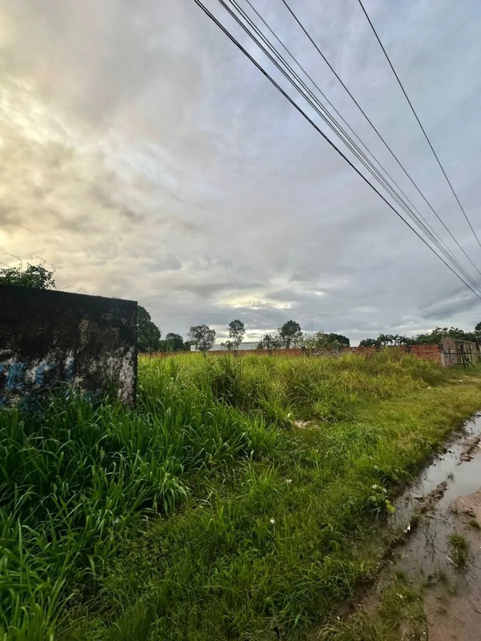Terreno na BR316 Benevides 927m2 - Foto 4