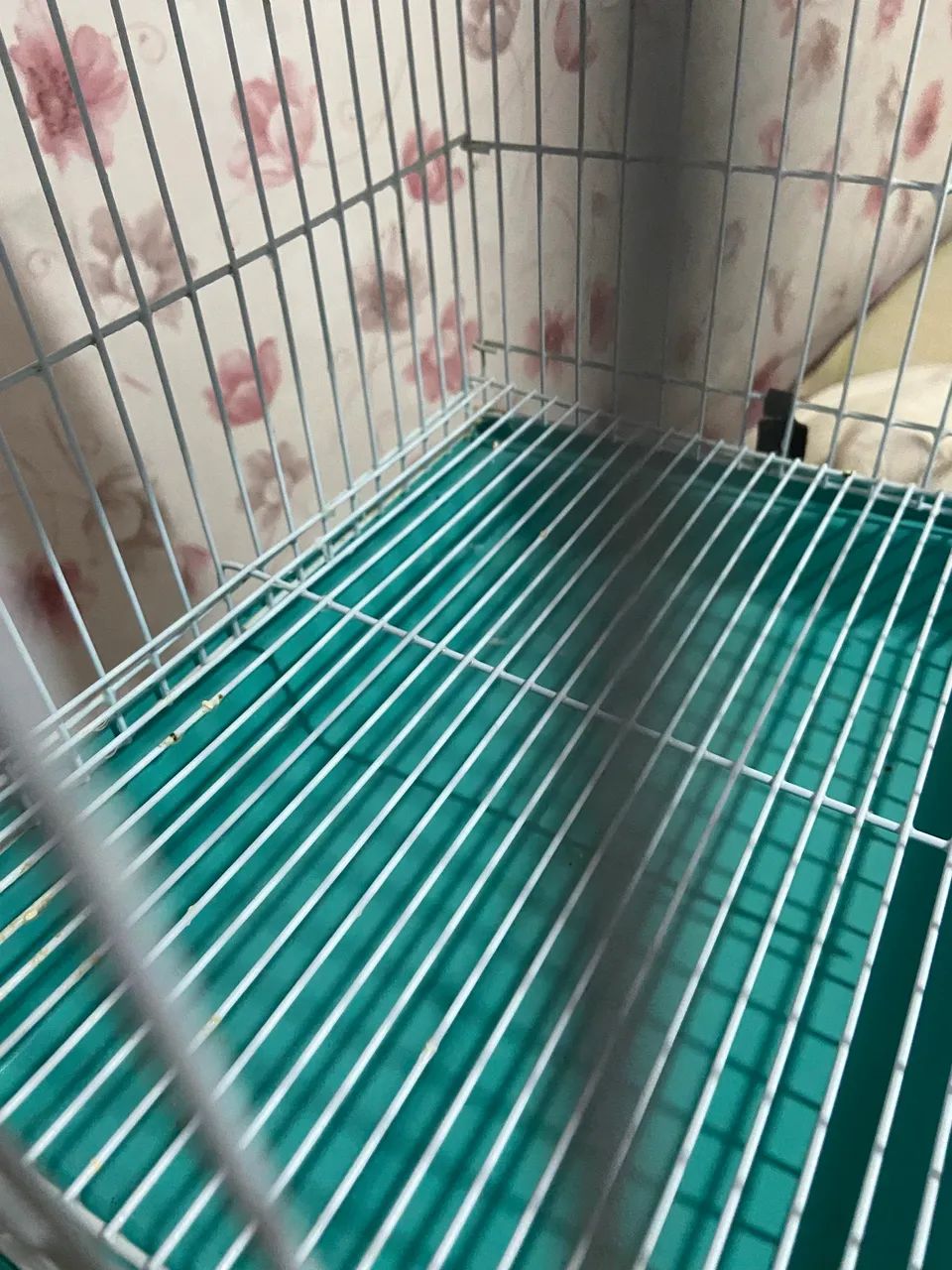 Gaiola para periquito  - Foto 3