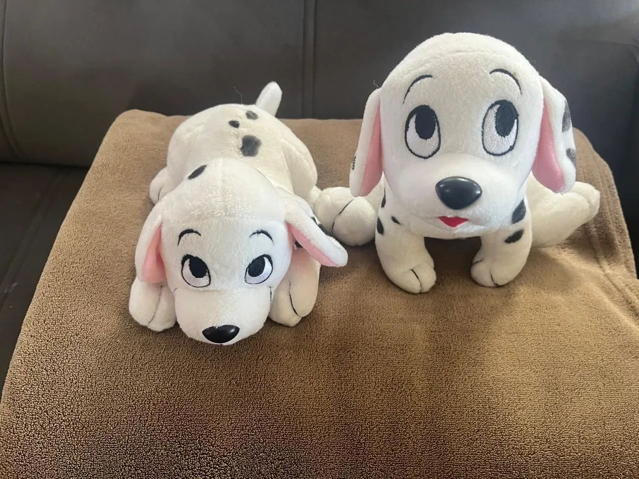 Dálmatas Penny e Roly - Foto 3