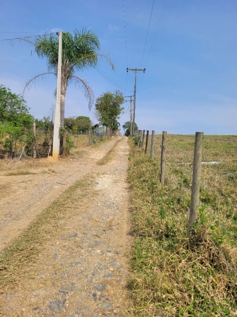 Terreno com 1.600 metros - Foto 2