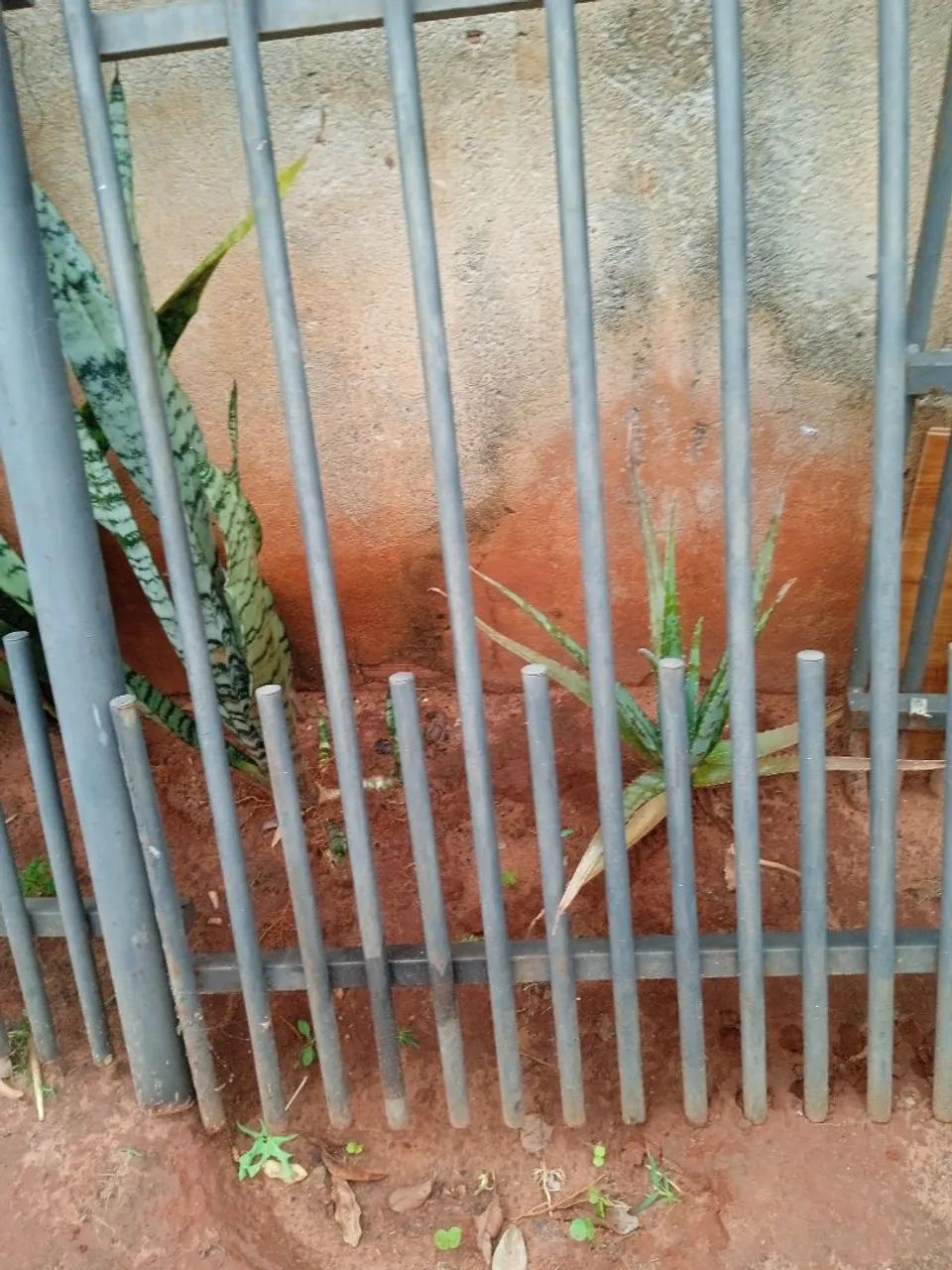 Grade Para Muro Ferro - Foto 2