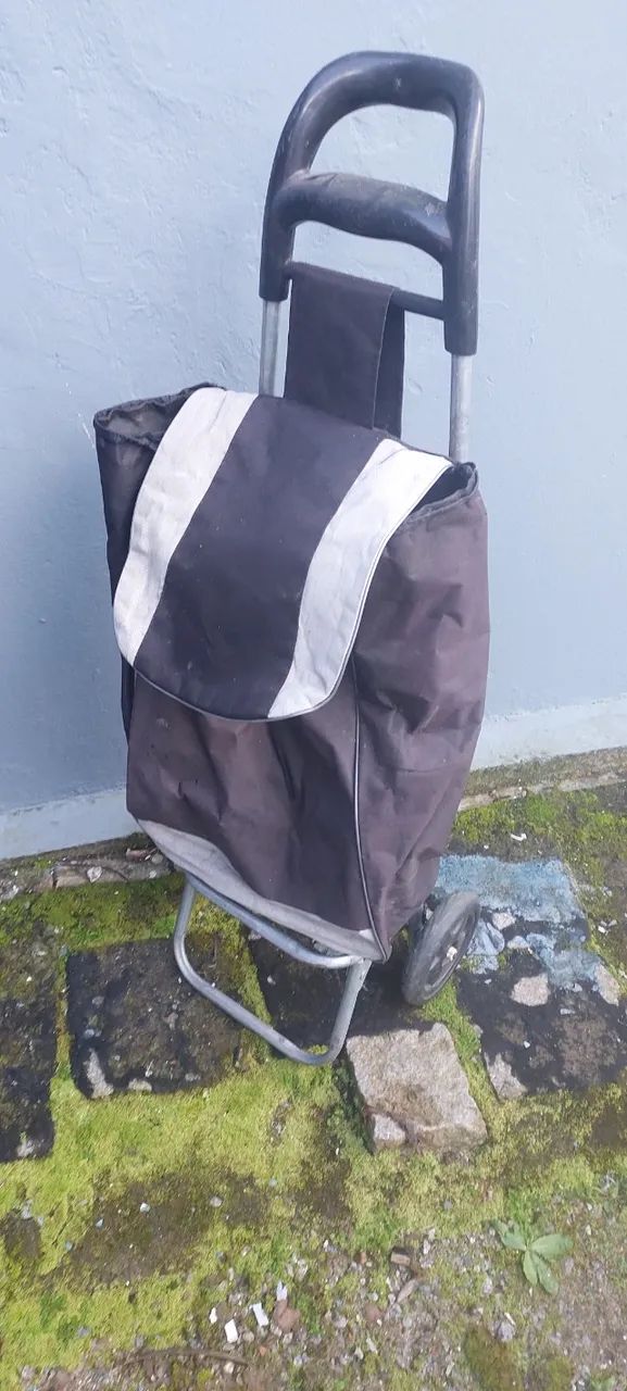 carrinho de compras 40 reais - Foto 2