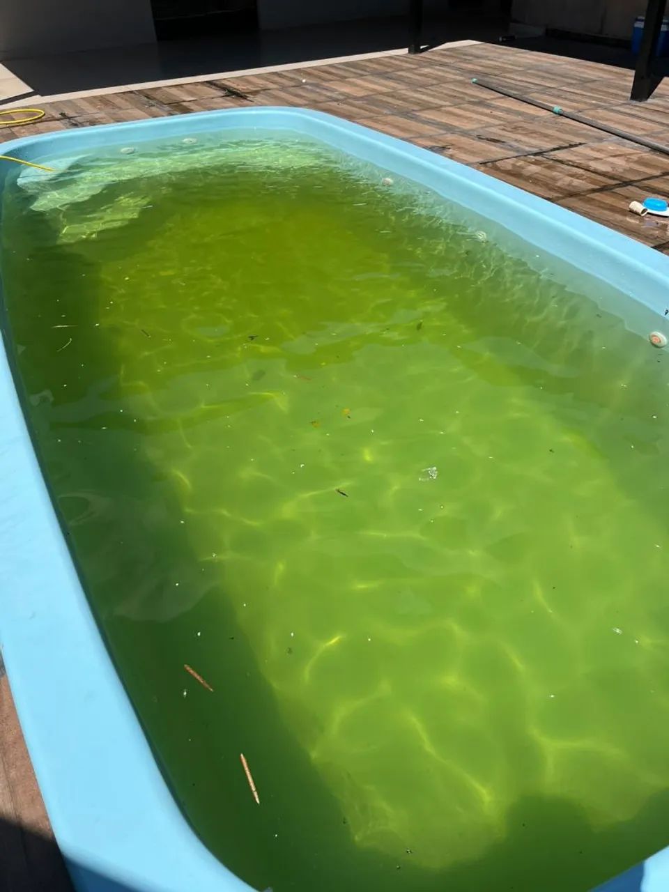 Piscineiro  - Foto 2