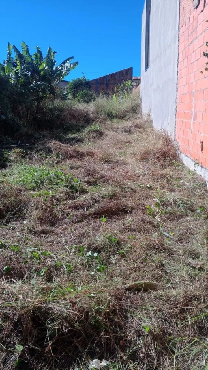 Roço terreno/descarte móveis/retiro entulho. 19 9999 52 184 - Foto 3