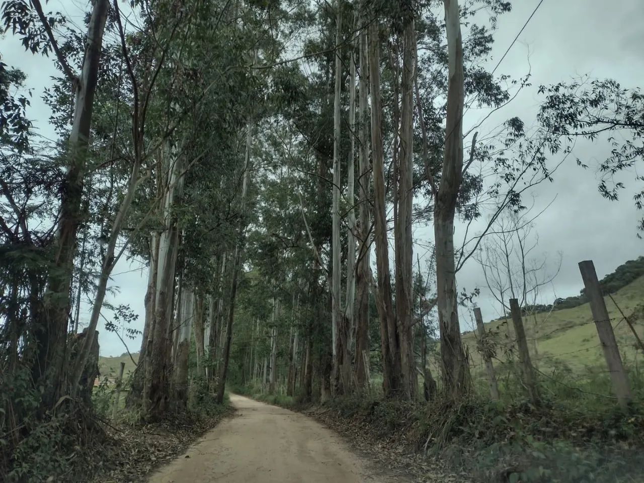Sítio 118.500m² Chácara - MG