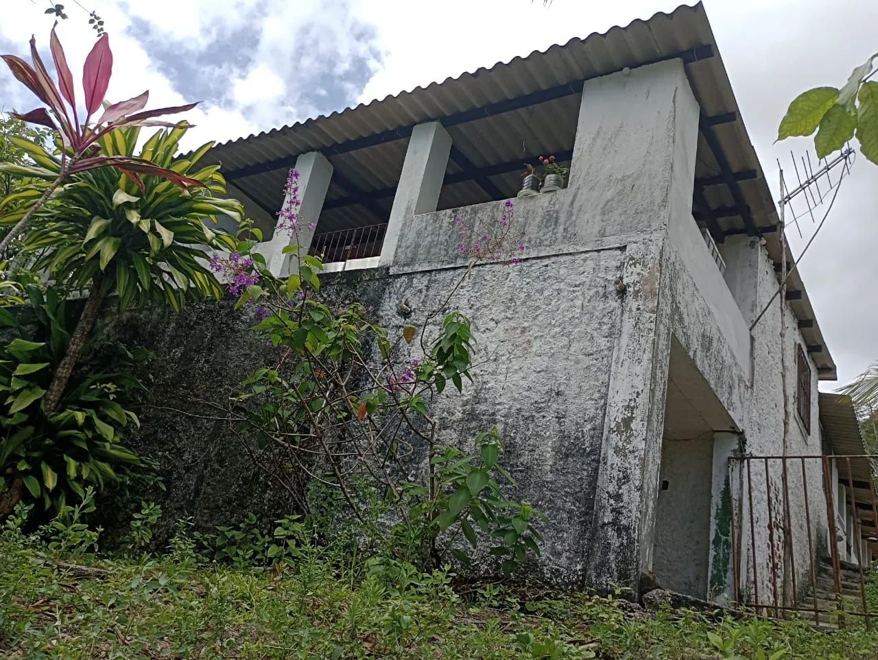 Chácara em Muribaca dos Guararapes,Sítio Sapé  - Foto 4