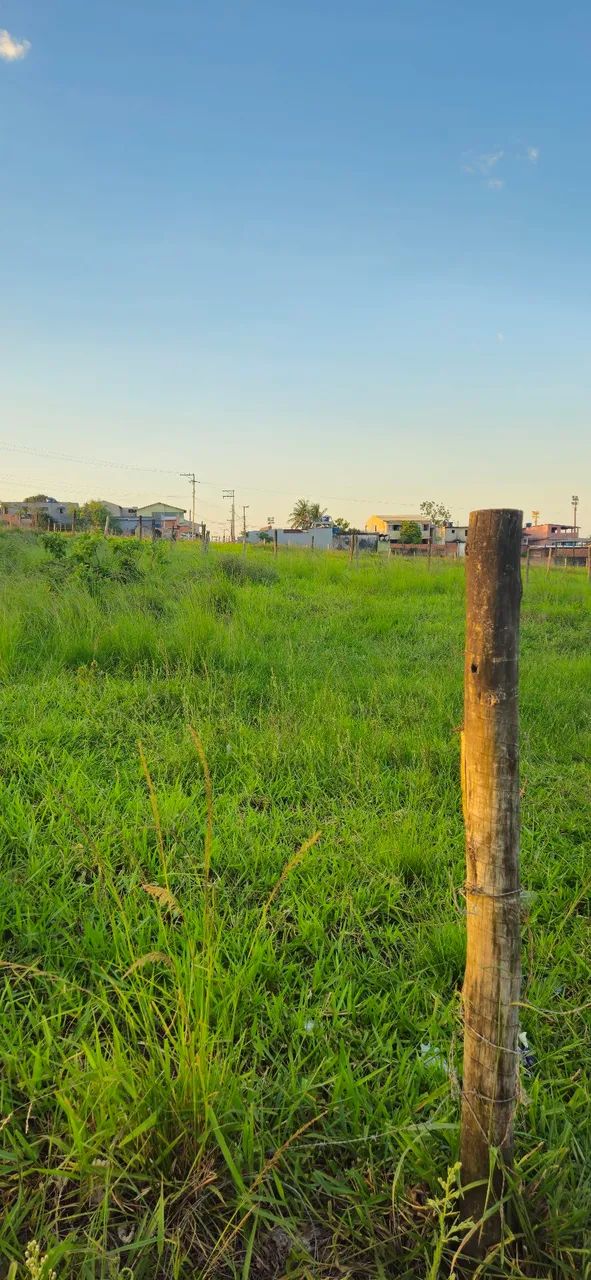 Terreno a venda em ubas  - Foto 5