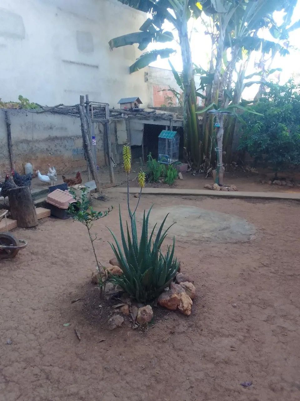 Casa a venda  no contrato de compra é venda  - Foto 4