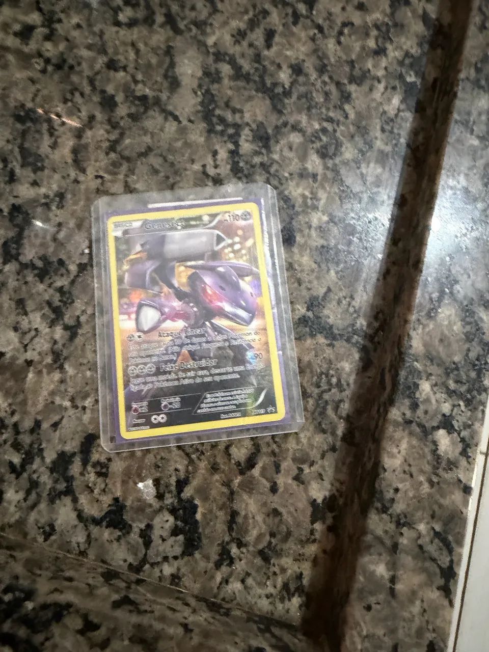Gatinha Pokémon 2016