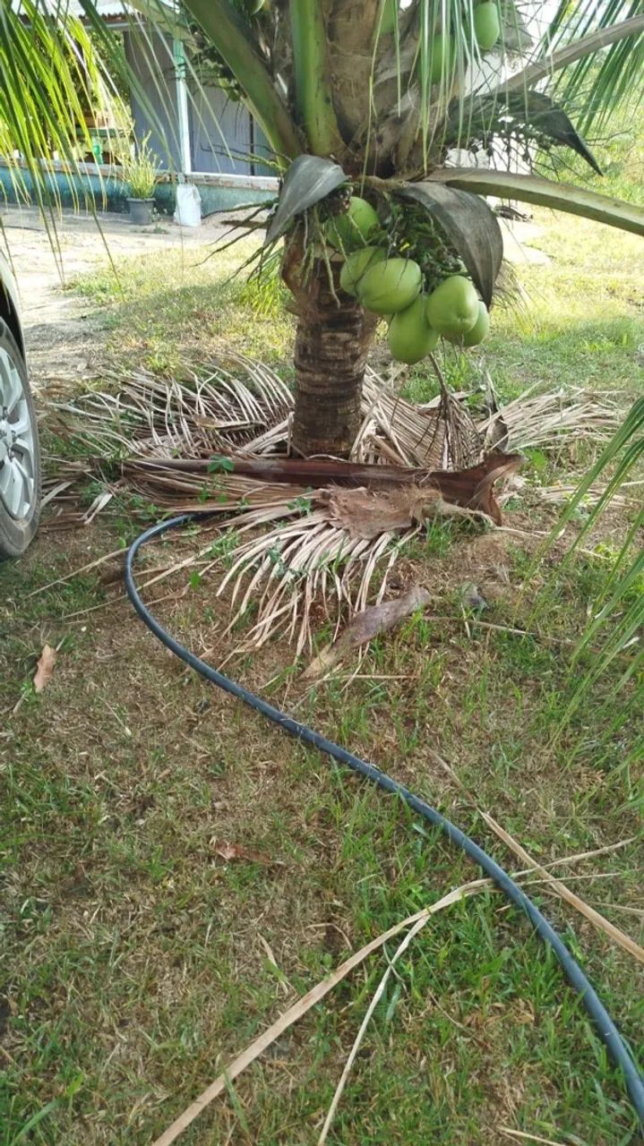 Vendo chácara barata - Foto 3