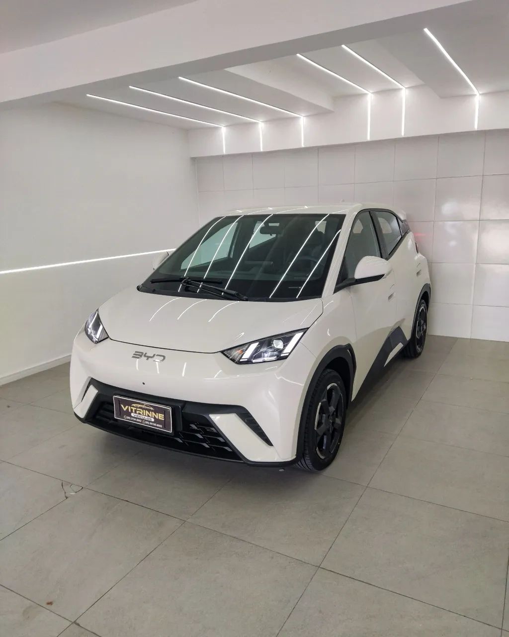BYD Dolphin Mini (Elétrico) 2025