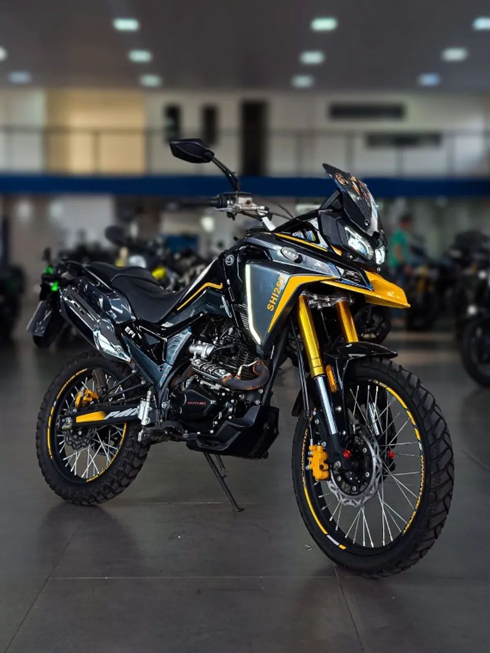 SHI 250 2025