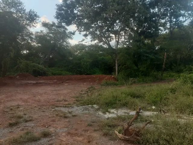 lote próximo ao Gran Royalle com 220 m² - Foto 2