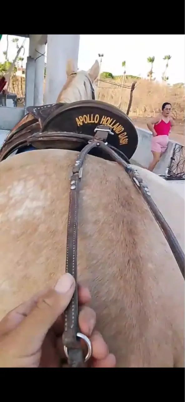 Sela cavalo - Foto 3