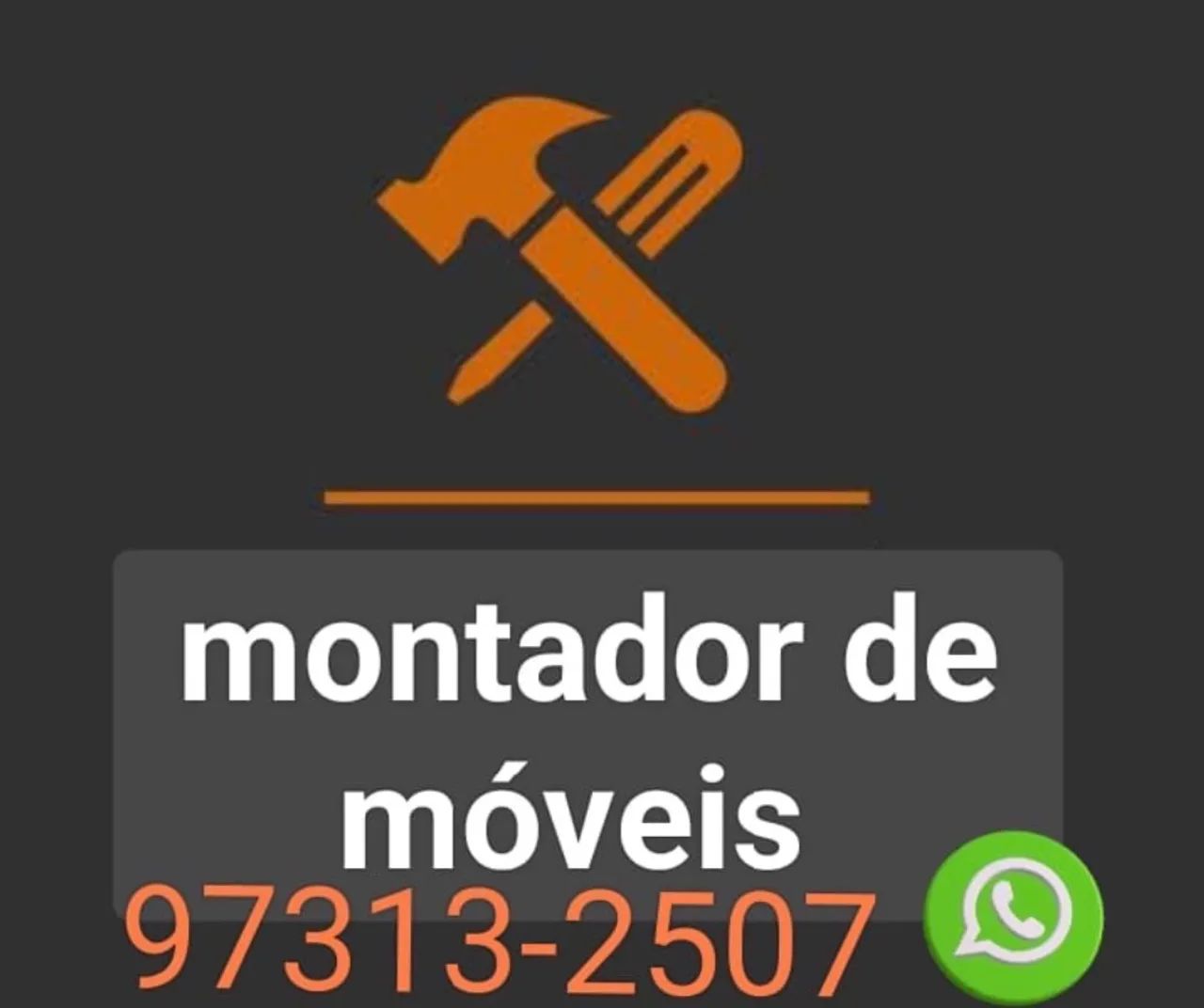 Montador de móveis (profissional)