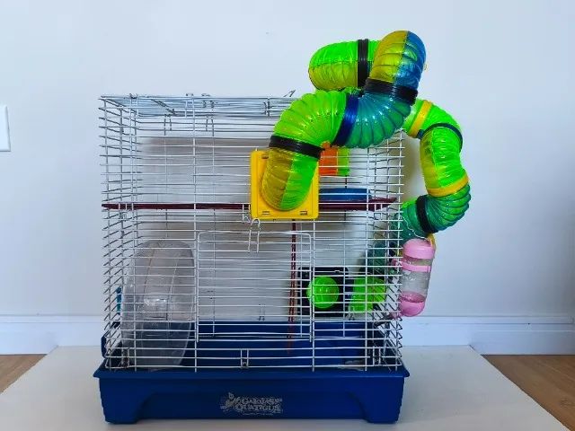 Gaiola para Hamster Quatiguá  - Foto 5