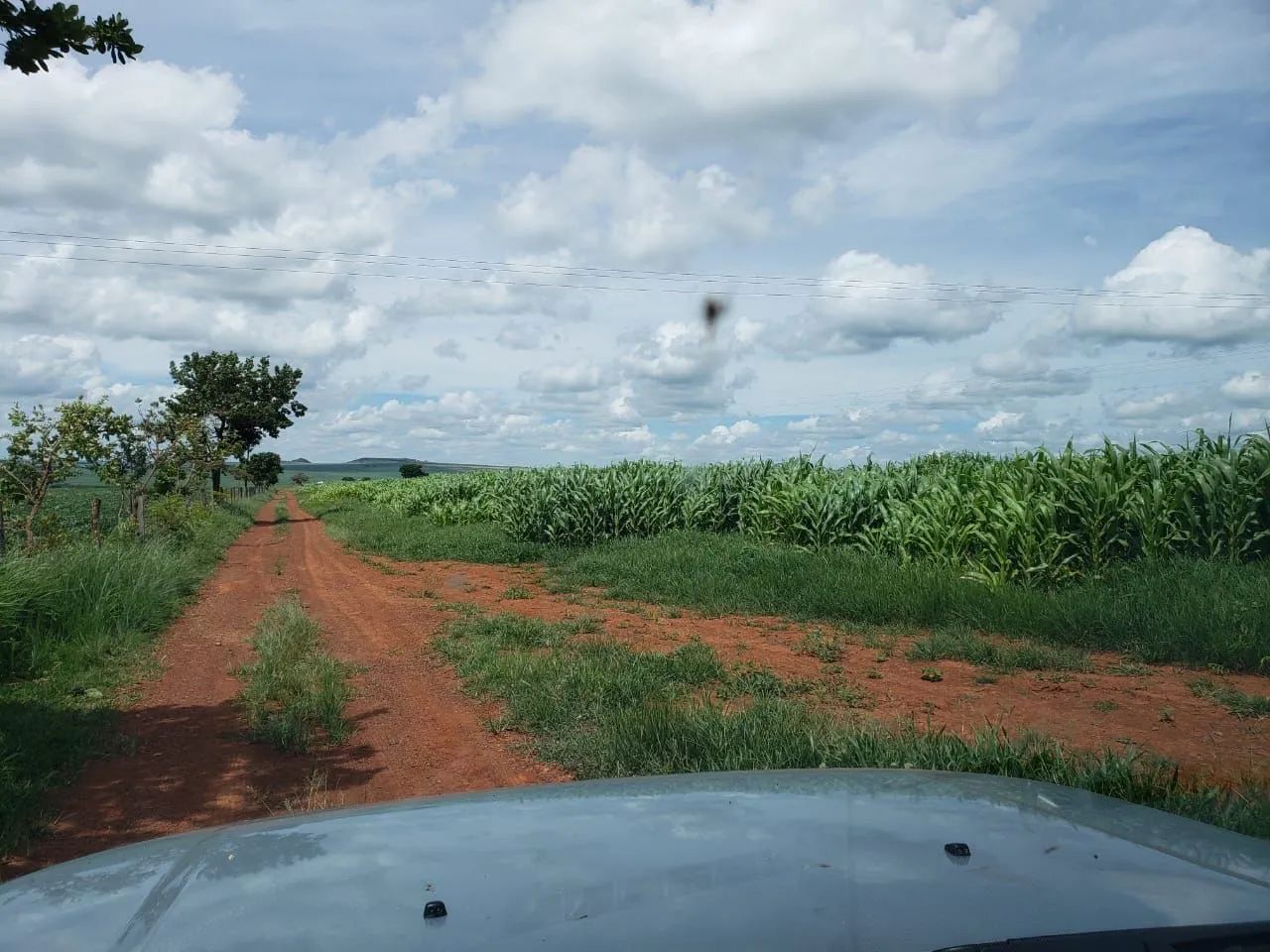 Vendo fazenda