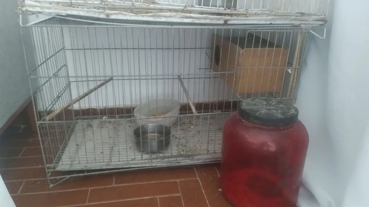 Gaiolas - Foto 4