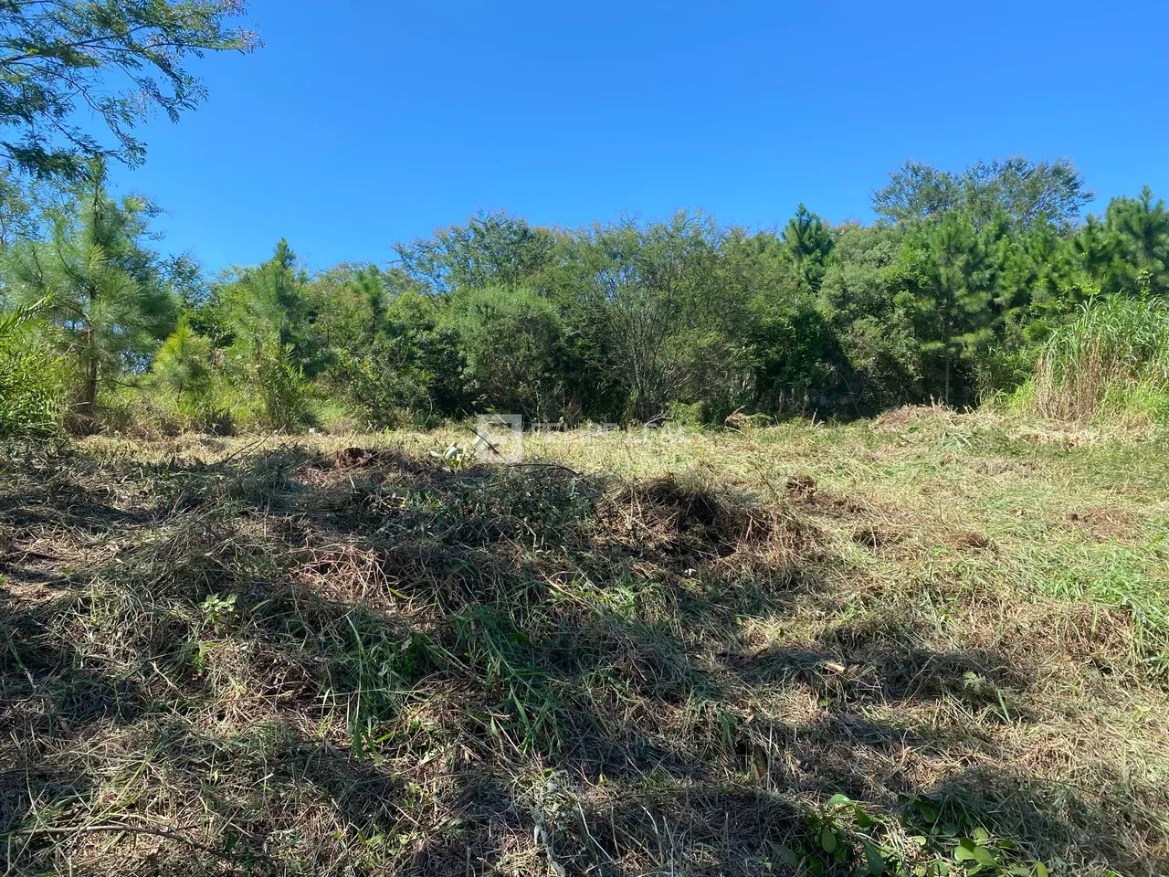 Lote / Terreno em Roçado - São José, SC - Foto 4