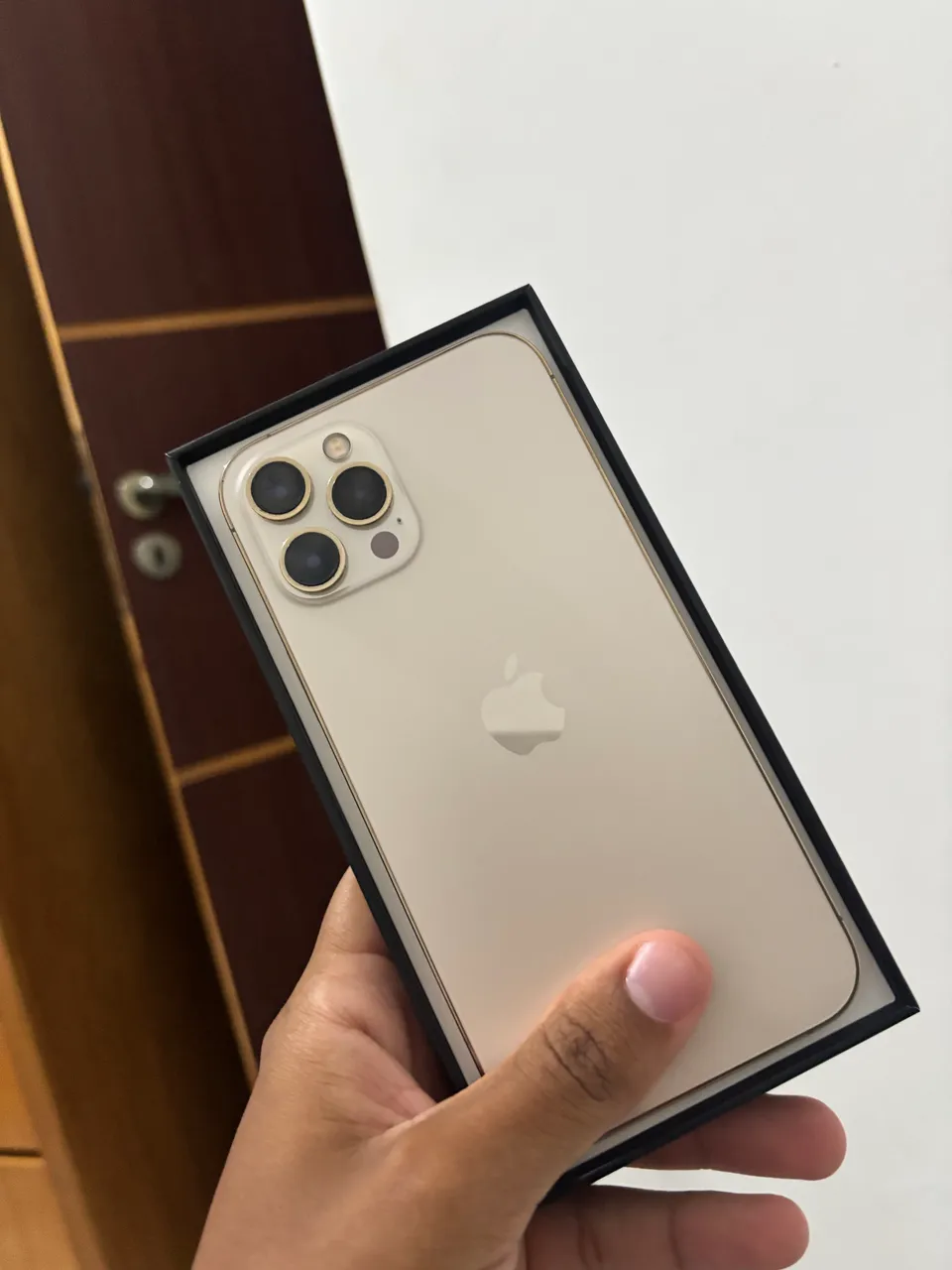 iPhone 12 Pro Max 256gb - Celulares e Smartphones - Brás de Pina