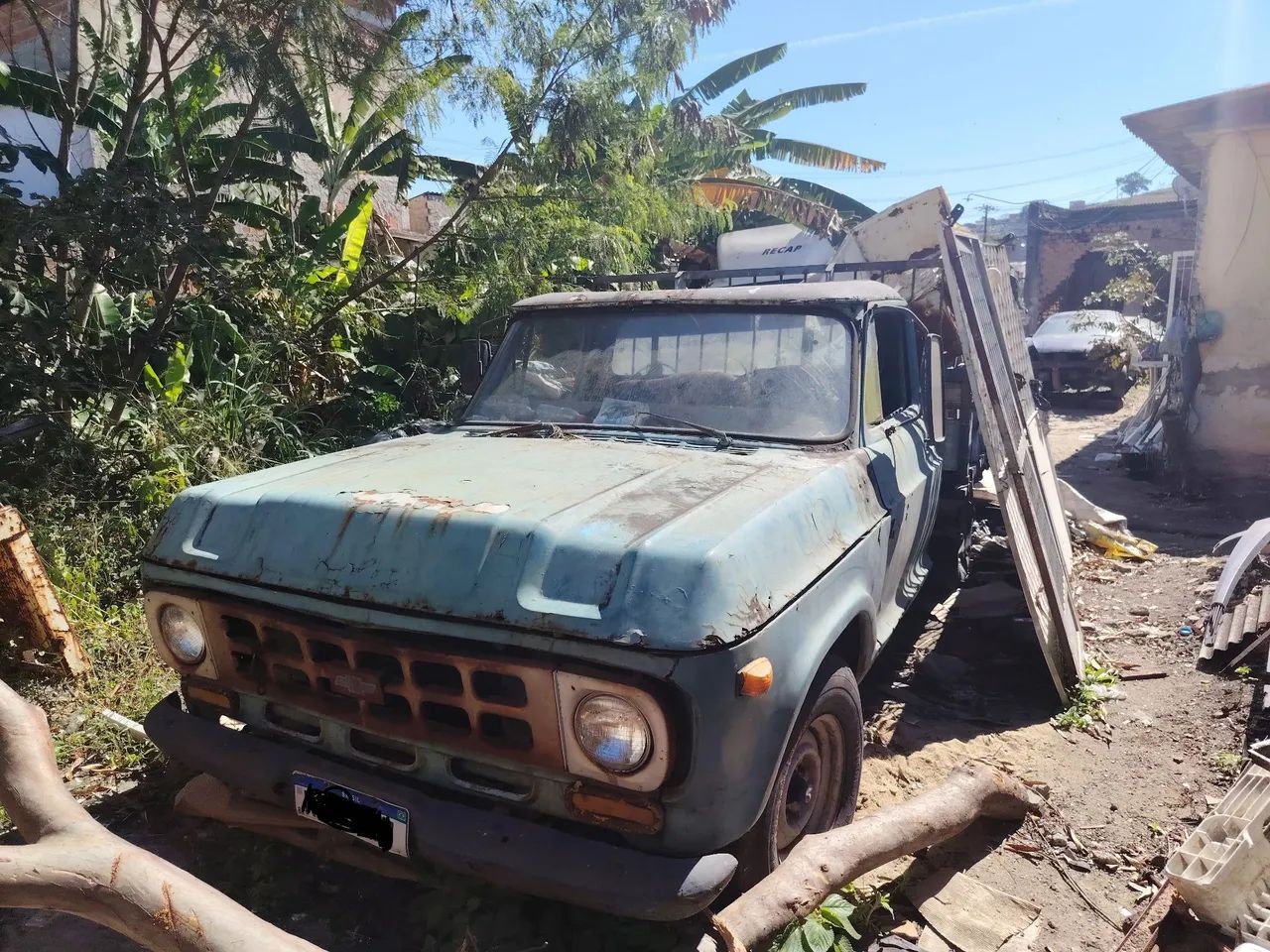 Chevrolet D-10 Diesel 1979