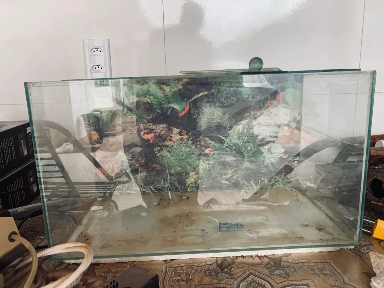 Aquário  para peixe vários acessórios leia descrição  - Foto 2