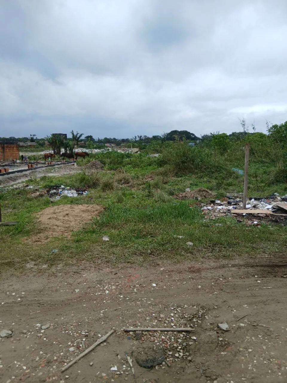Terrenos a venda  - Foto 5
