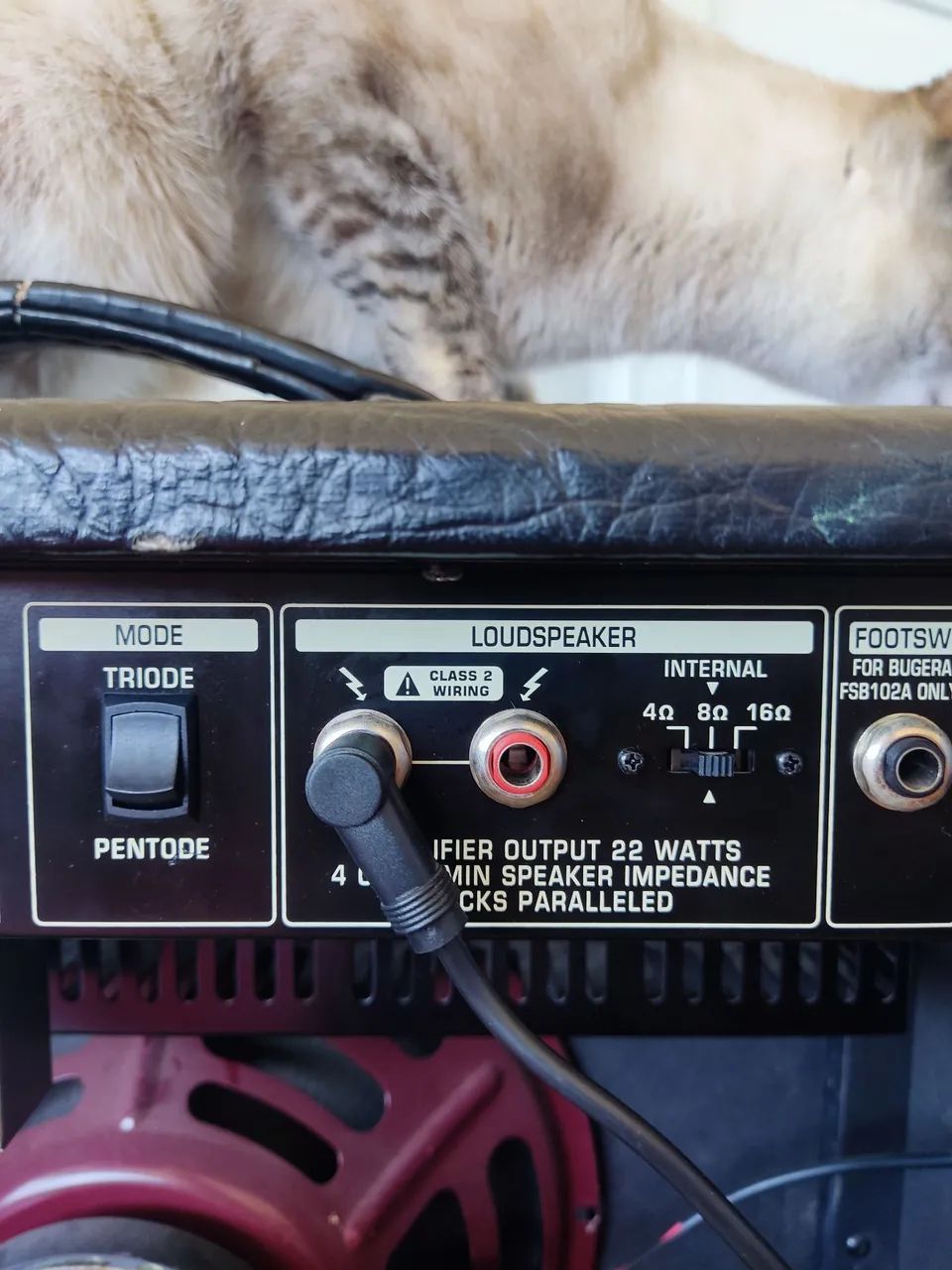Amplificador Bugera V22 - Foto 4