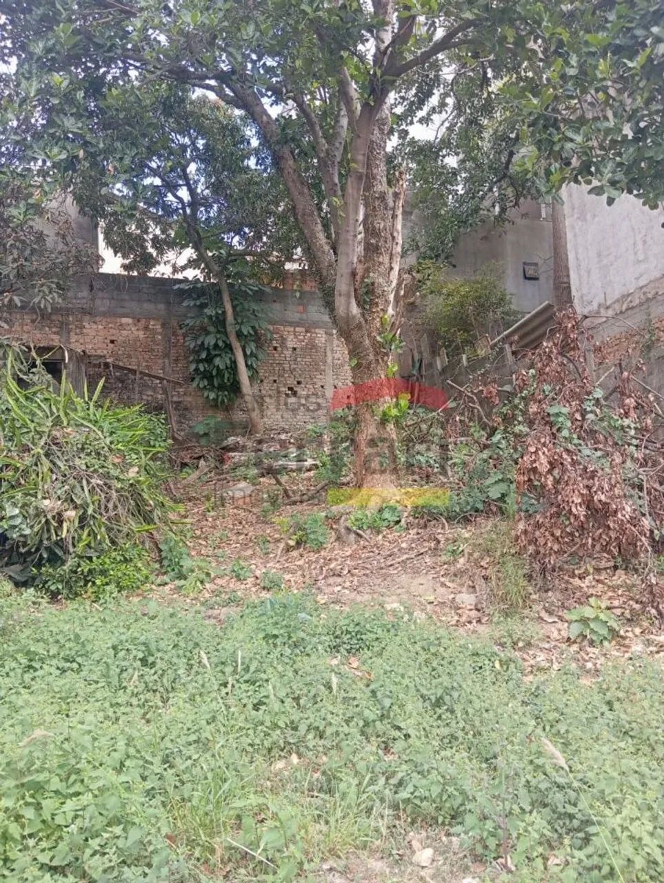 Terreno no Imirim - Foto 5