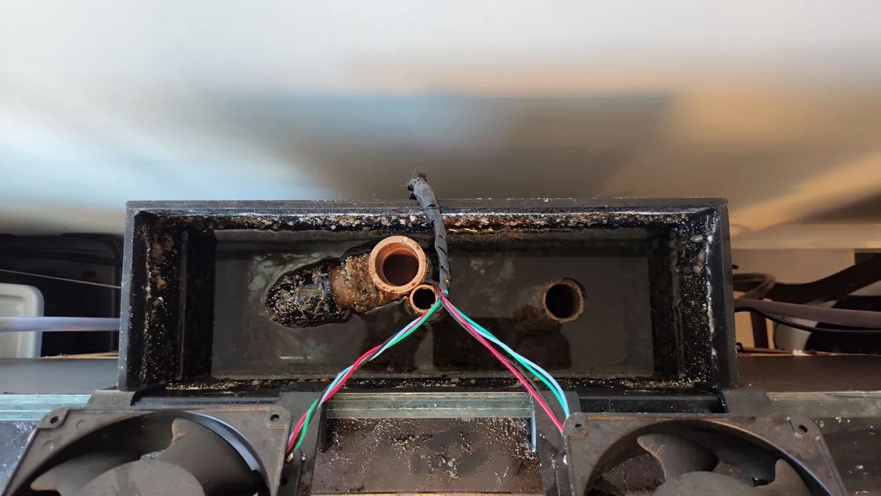 Aquário marinho  - Foto 2