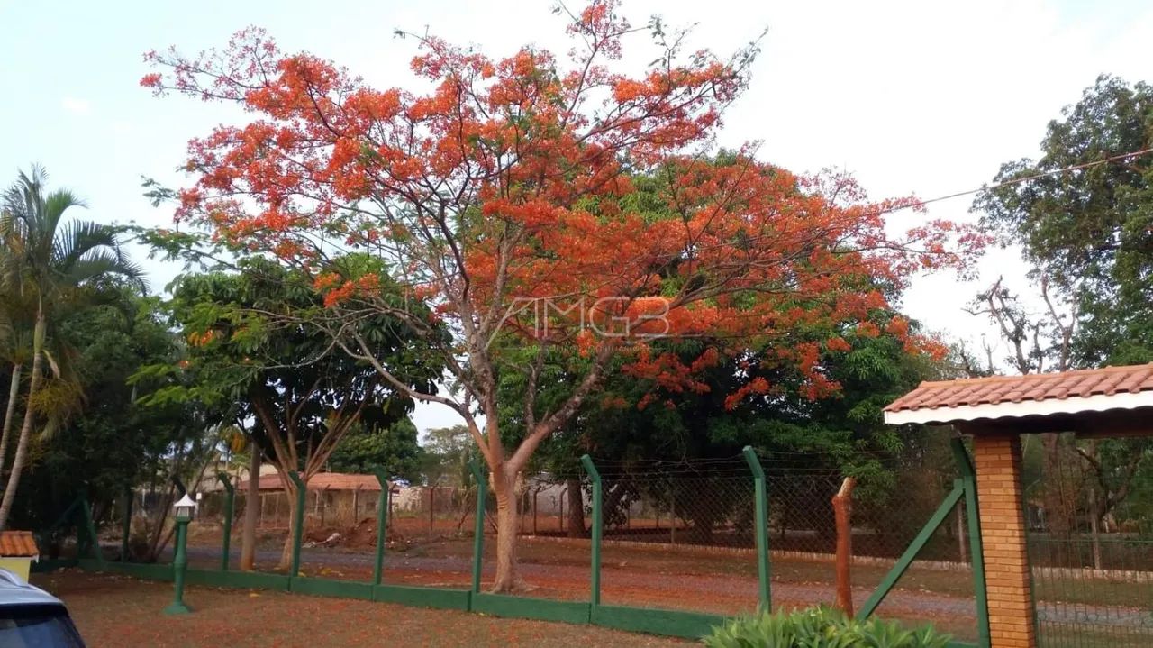 Chácara com 1.500m² á Venda em Cosmópolis - Foto 5