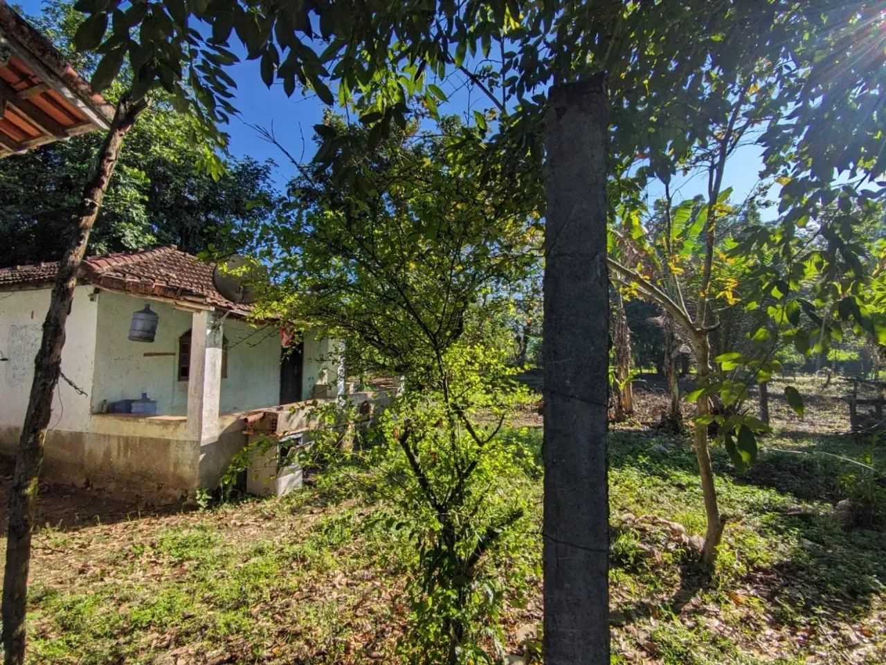 SÍTIO EM EXCELENTE REGIÃO - Foto 5